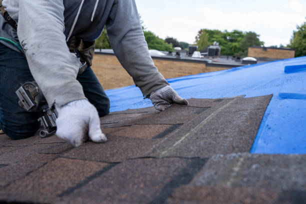 Best Roof Gutter Cleaning  in Marion, TX