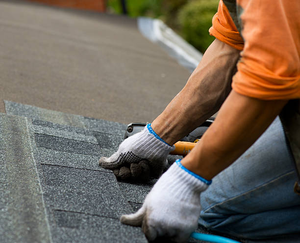 Professional Roofing Contractor in Marion, TX